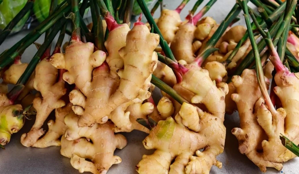 ginger powder ginger powder