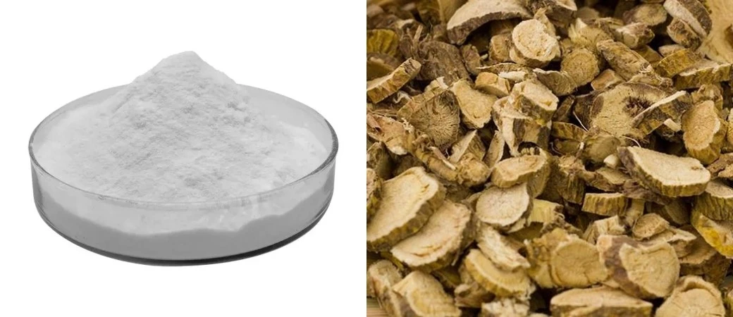 Sophora Flavescens Root Extract Sophora Flavescens Root Extract