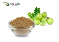 Powdwr Detholiad Amla