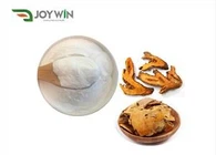 Detholiad Resveratrol Polygonum Cuspidatum