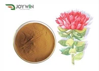 Powdwr Detholiad Gwreiddiau Rhodiola Rosea